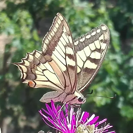 Valle Rillo Agriturismo Çiftlik konaklama