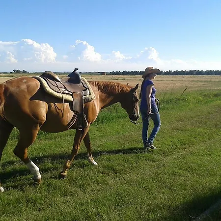 Alojamento de Turismo Rural Valle Rillo Agriturismo *