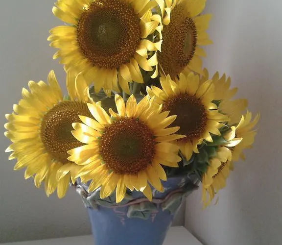 Feriegård Valle Rillo Agriturismo *