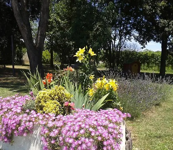 Valle Rillo Agriturismo
