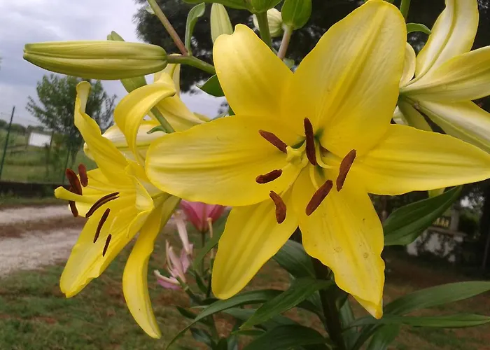 Valle Rillo Agriturismo *