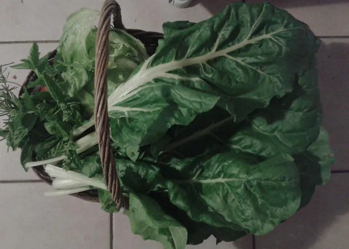 Valle Rillo Agriturismo