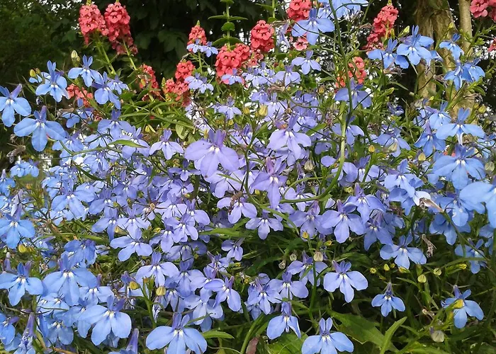 Valle Rillo Agriturismo Feriegård