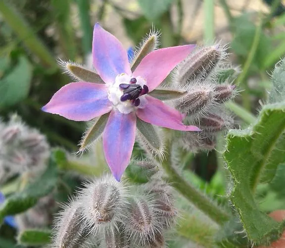 Feriegård Valle Rillo Agriturismo *