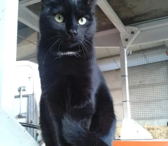 Valle Rillo Agriturismo Vakantieboerderij *