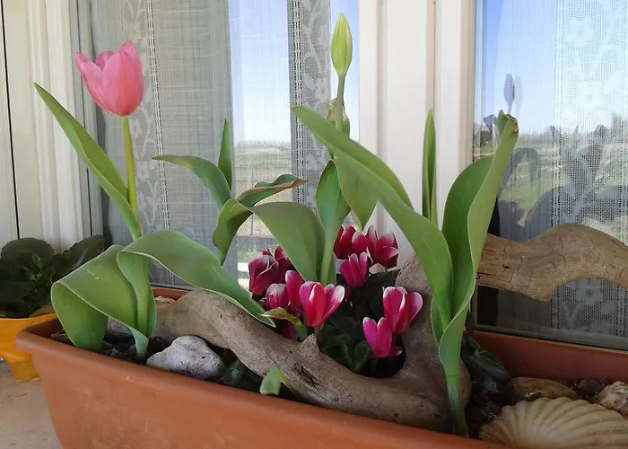 Valle Rillo Agriturismo