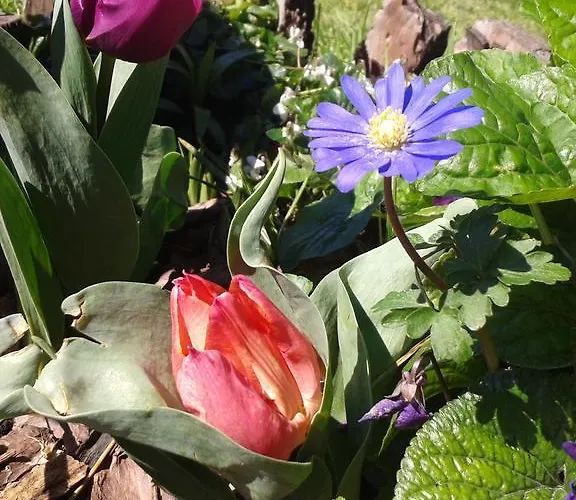 Valle Rillo Agriturismo