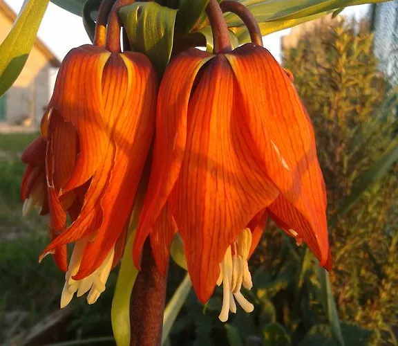 Valle Rillo Agriturismo Vakantieboerderij