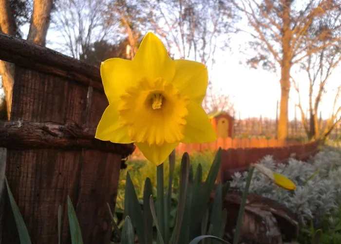 Valle Rillo Agriturismo Feriegård