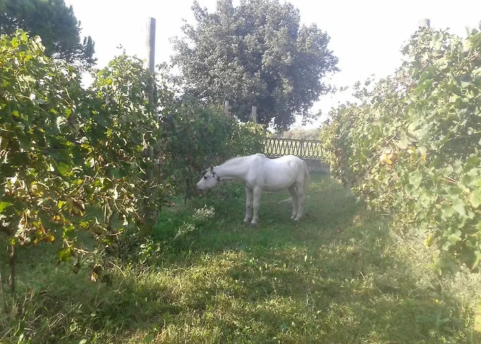 Valle Rillo Agriturismo *