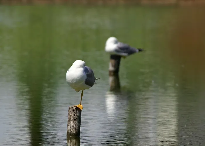 Valle Rillo Agriturismo Comacchio