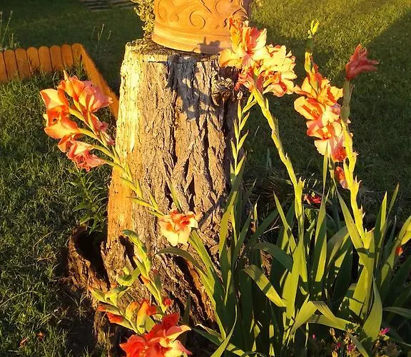 Valle Rillo Agriturismo