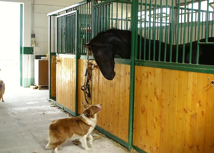 Vakantieboerderij Valle Rillo Agriturismo Comacchio