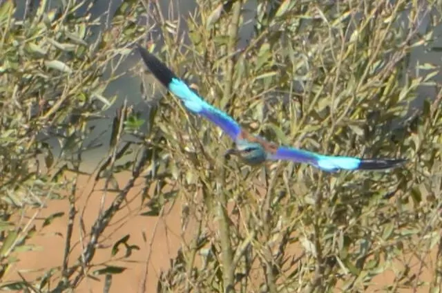 Valle Rillo Agriturismo