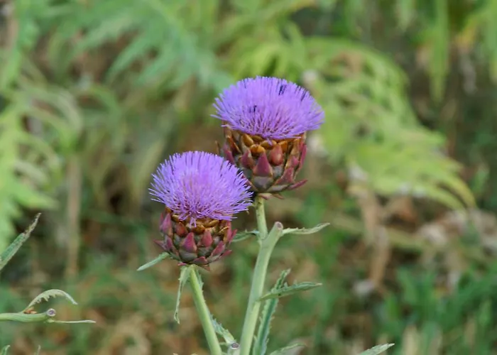 Valle Rillo Agriturismo