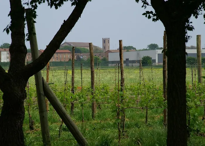 Valle Rillo Agriturismo