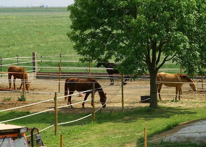 Feriegård Valle Rillo Agriturismo *